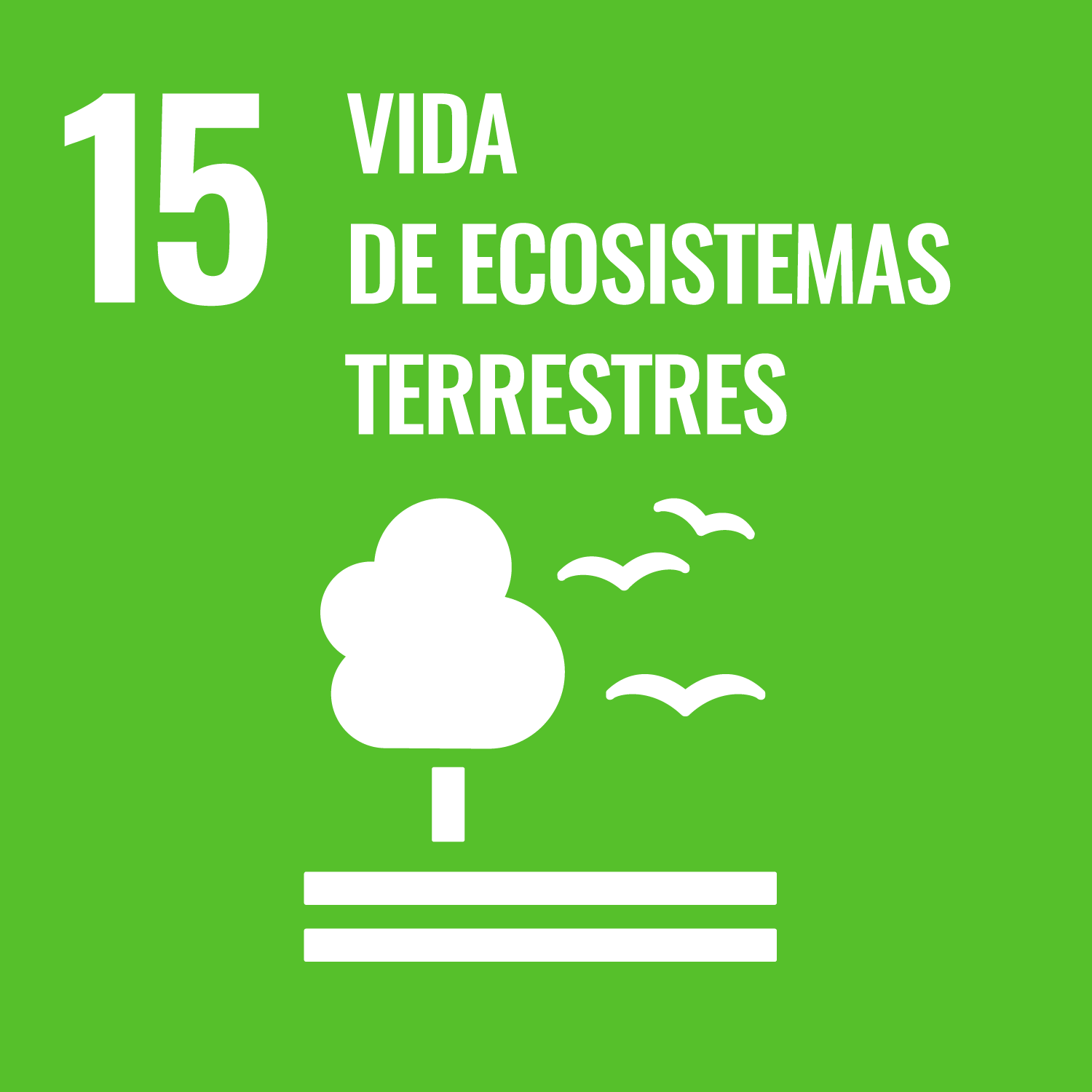 ODS 15: Vida de Ecosistemas Terrestres ODS 15: Vida de Ecosistemas Terrestres